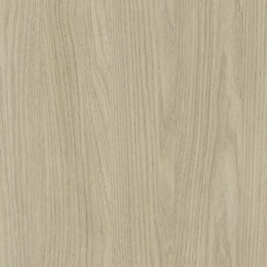 Endless Elm